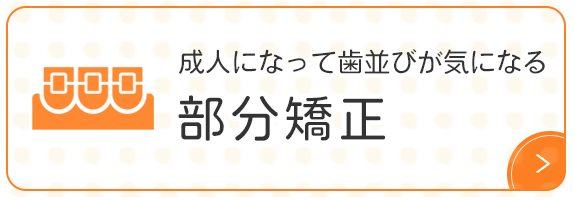 成人になって歯並びが気になる 部分矯正